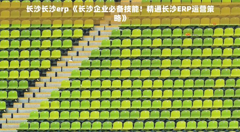长沙长沙erp 《长沙企业必备技能！精通长沙ERP运营策略》