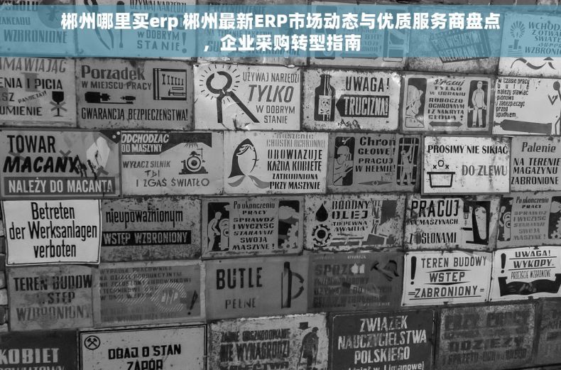 郴州哪里买erp 郴州最新ERP市场动态与优质服务商盘点，企业采购转型指南