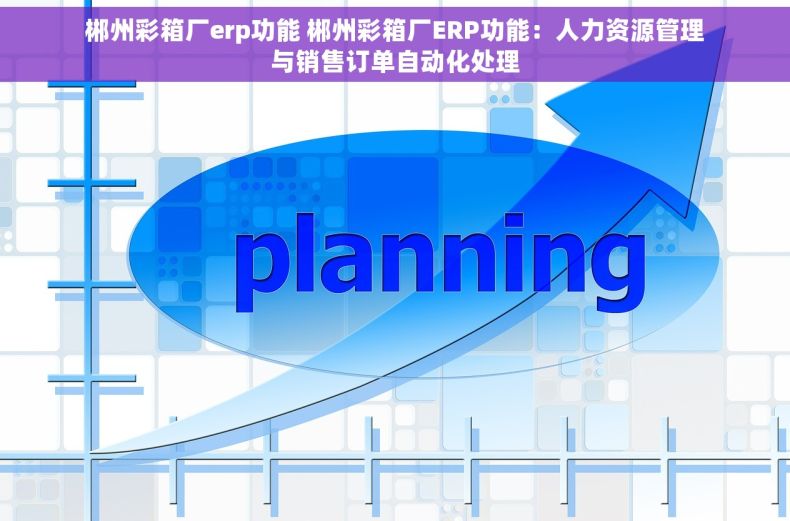 郴州彩箱厂erp功能 郴州彩箱厂ERP功能：人力资源管理与销售订单自动化处理