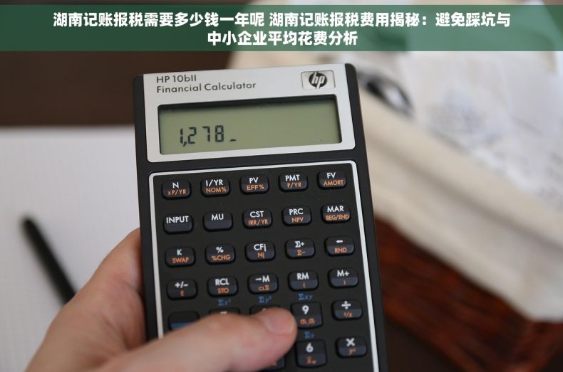湖南记账报税需要多少钱一年呢 湖南记账报税费用揭秘：避免踩坑与中小企业平均花费分析