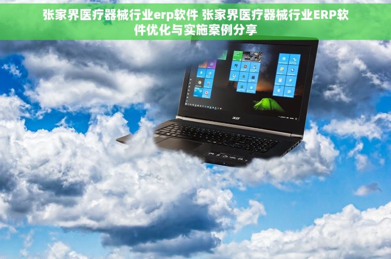 张家界医疗器械行业erp软件 张家界医疗器械行业ERP软件优化与实施案例分享