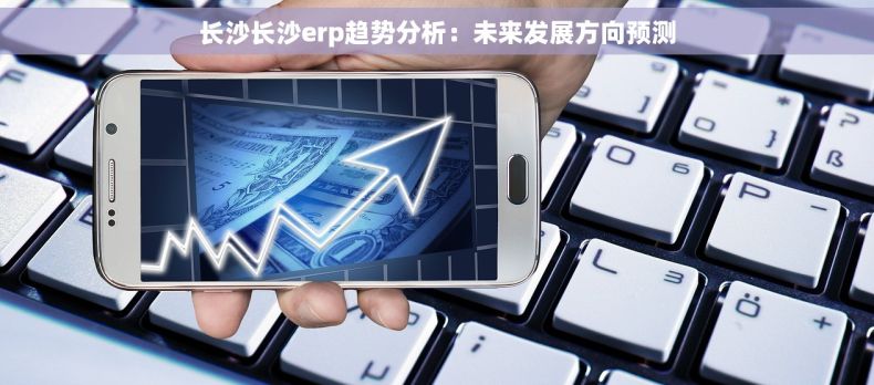 长沙长沙erp趋势分析：未来发展方向预测