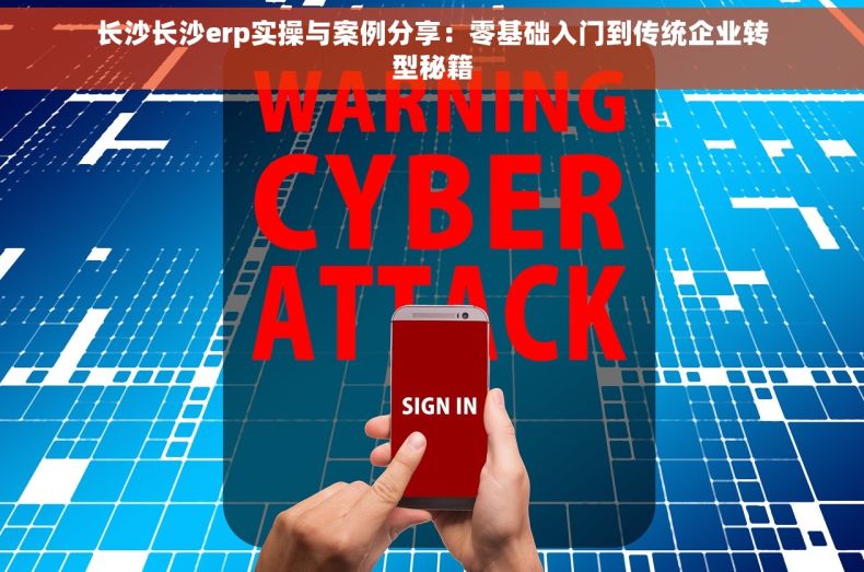 长沙长沙erp实操与案例分享：零基础入门到传统企业转型秘籍