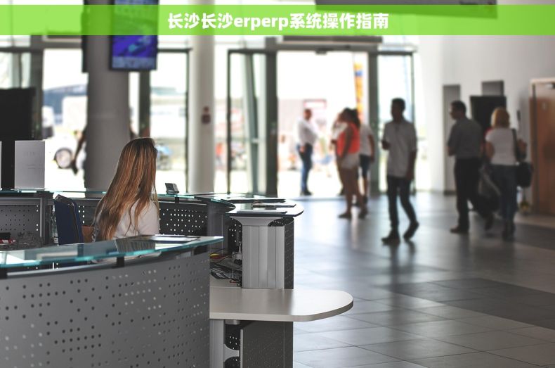 长沙长沙erperp系统操作指南