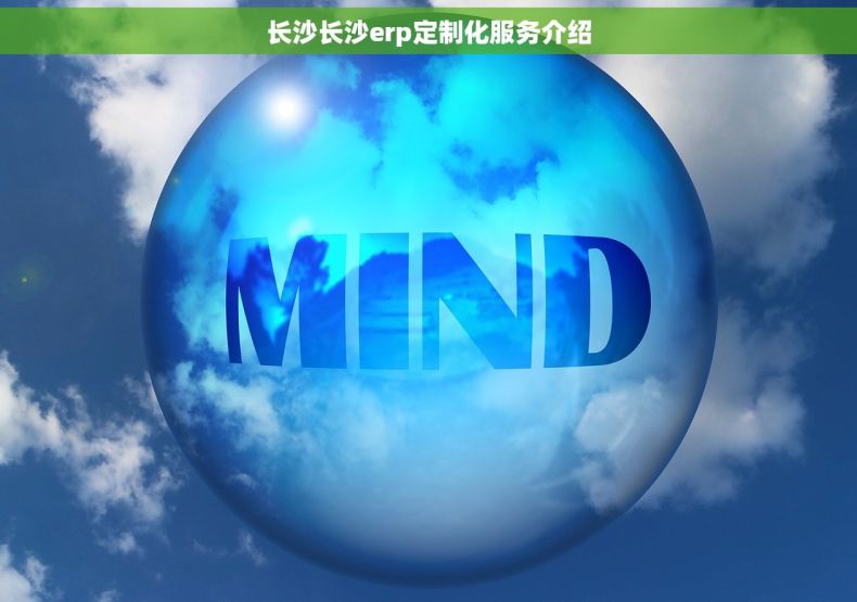长沙长沙erp定制化服务介绍