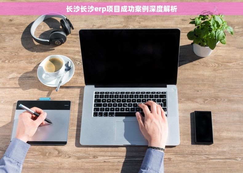 长沙长沙erp项目成功案例深度解析