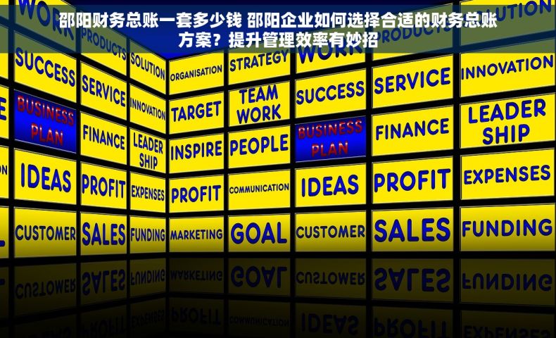 邵阳财务总账一套多少钱 邵阳企业如何选择合适的财务总账方案？提升管理效率有妙招