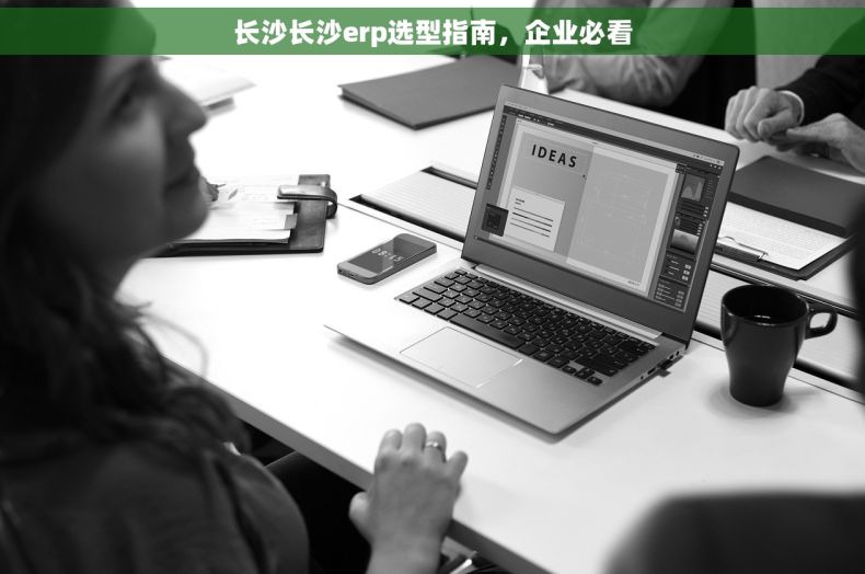 长沙长沙erp选型指南，企业必看