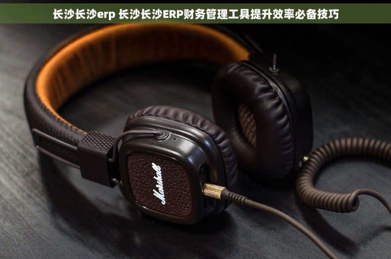 长沙长沙erp 长沙长沙ERP财务管理工具提升效率必备技巧