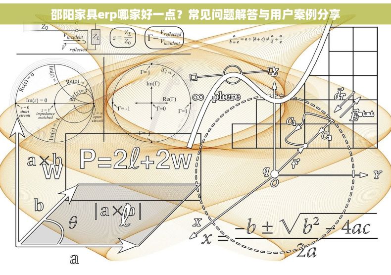 邵阳家具erp哪家好一点？常见问题解答与用户案例分享