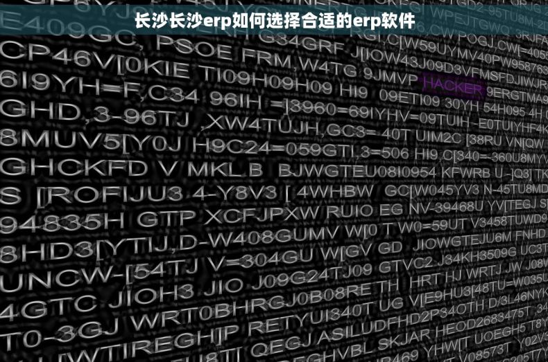 长沙长沙erp如何选择合适的erp软件