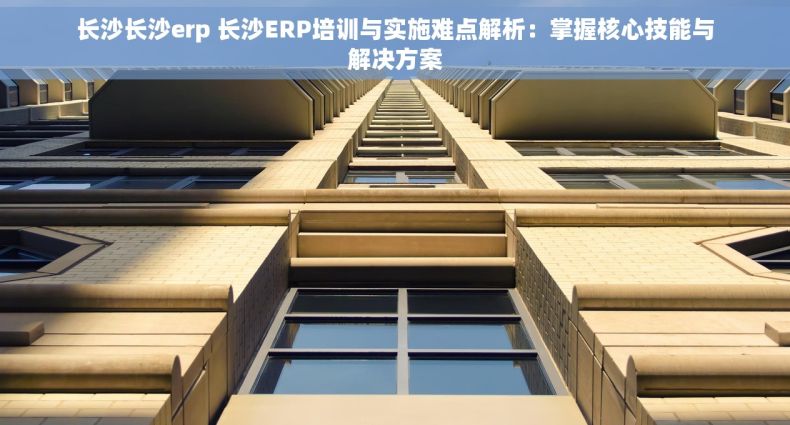 长沙长沙erp 长沙ERP培训与实施难点解析：掌握核心技能与解决方案