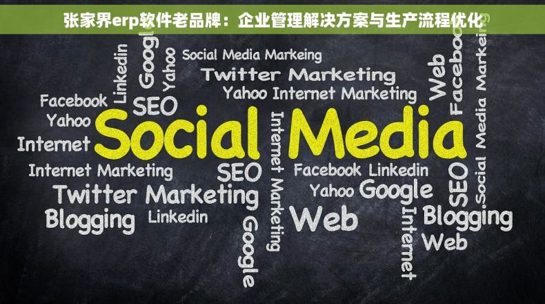 张家界erp软件老品牌：企业管理解决方案与生产流程优化