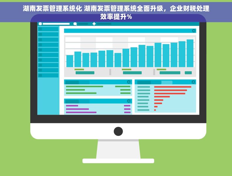 湖南发票管理系统化 湖南发票管理系统全面升级，企业财税处理效率提升%