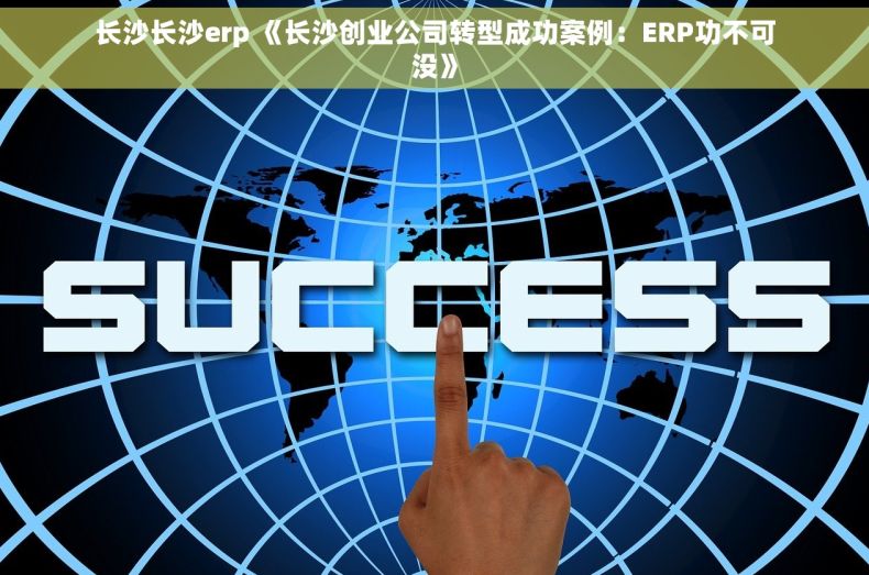 长沙长沙erp 《长沙创业公司转型成功案例：ERP功不可没》
