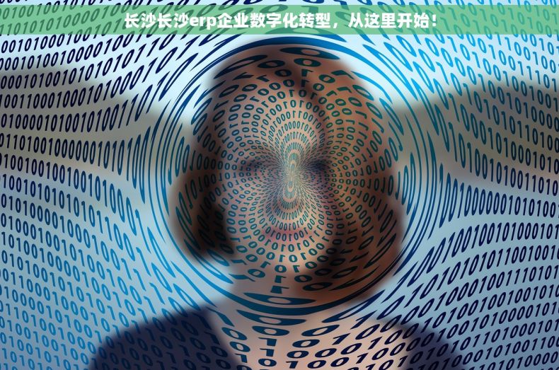 长沙长沙erp企业数字化转型，从这里开始！