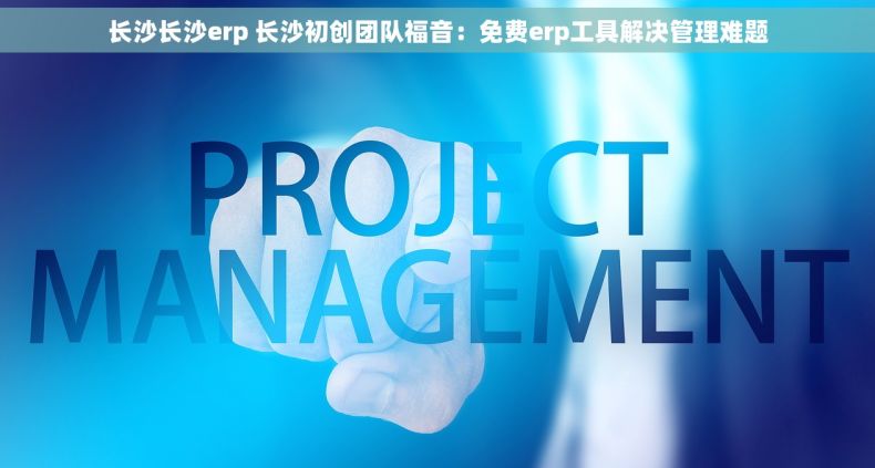 长沙长沙erp 长沙初创团队福音：免费erp工具解决管理难题