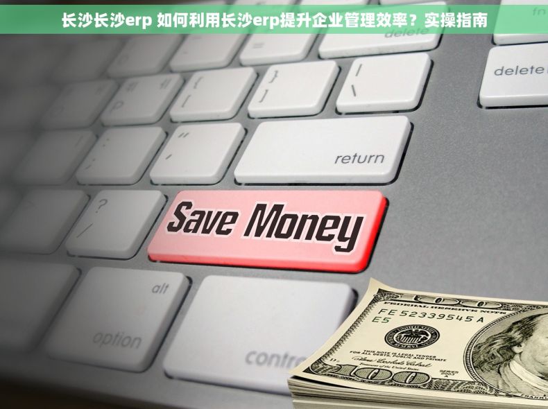 长沙长沙erp 如何利用长沙erp提升企业管理效率？实操指南