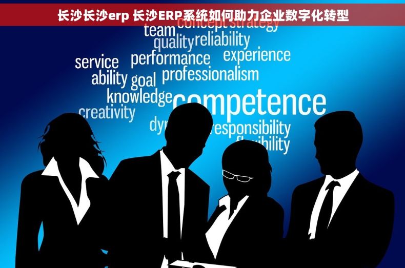 长沙长沙erp 长沙ERP系统如何助力企业数字化转型