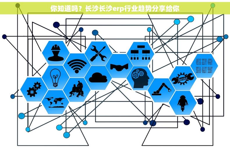你知道吗？长沙长沙erp行业趋势分享给你