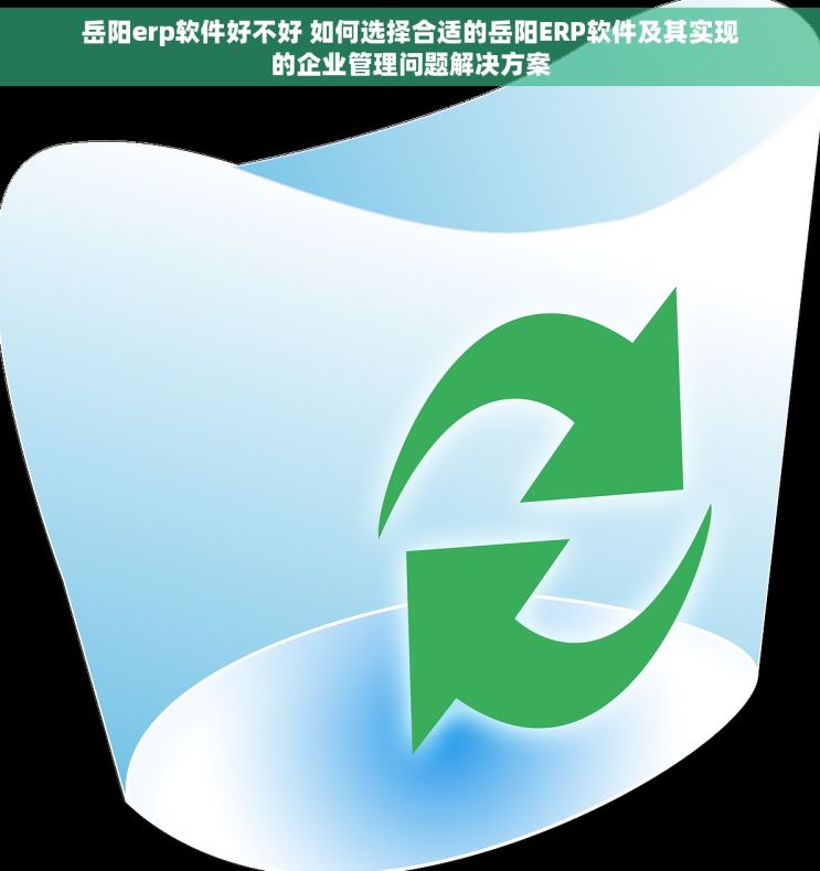 岳阳erp软件好不好 如何选择合适的岳阳ERP软件及其实现的企业管理问题解决方案