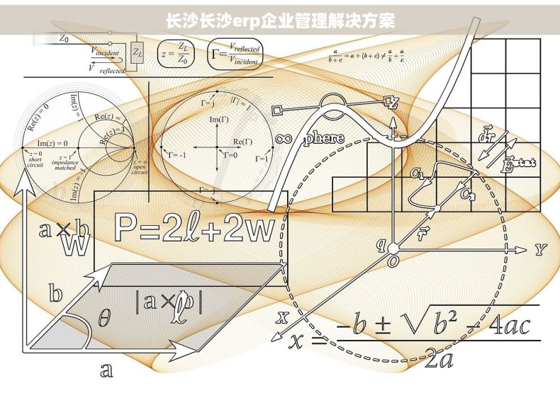 长沙长沙erp企业管理解决方案