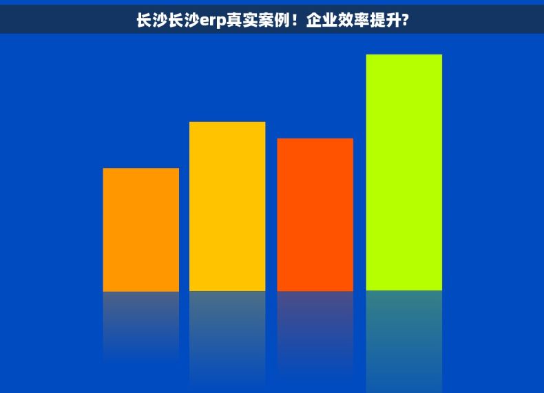 长沙长沙erp真实案例！企业效率提升?