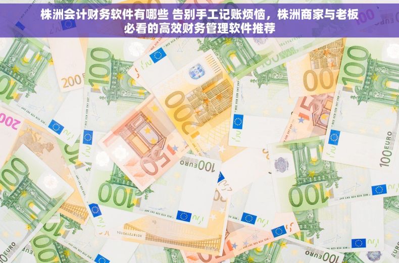 株洲会计财务软件有哪些 告别手工记账烦恼，株洲商家与老板必看的高效财务管理软件推荐