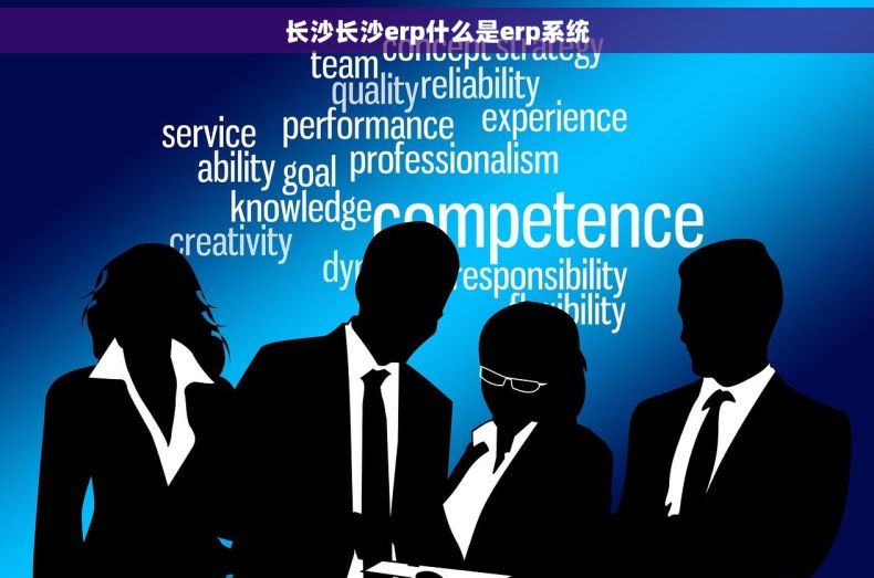 长沙长沙erp什么是erp系统