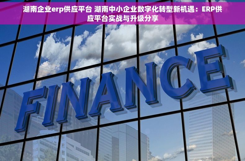 湖南企业erp供应平台 湖南中小企业数字化转型新机遇：ERP供应平台实战与升级分享