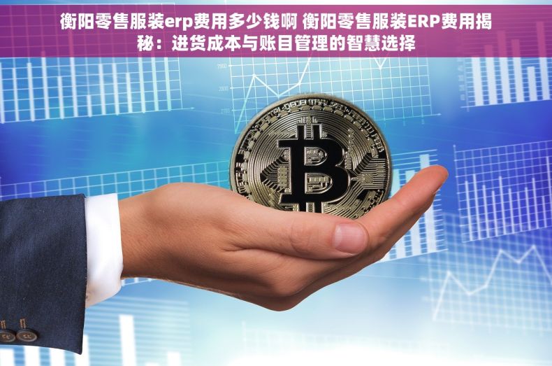 衡阳零售服装erp费用多少钱啊 衡阳零售服装ERP费用揭秘：进货成本与账目管理的智慧选择