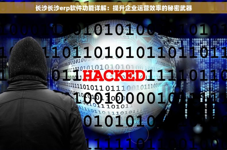 长沙长沙erp软件功能详解：提升企业运营效率的秘密武器