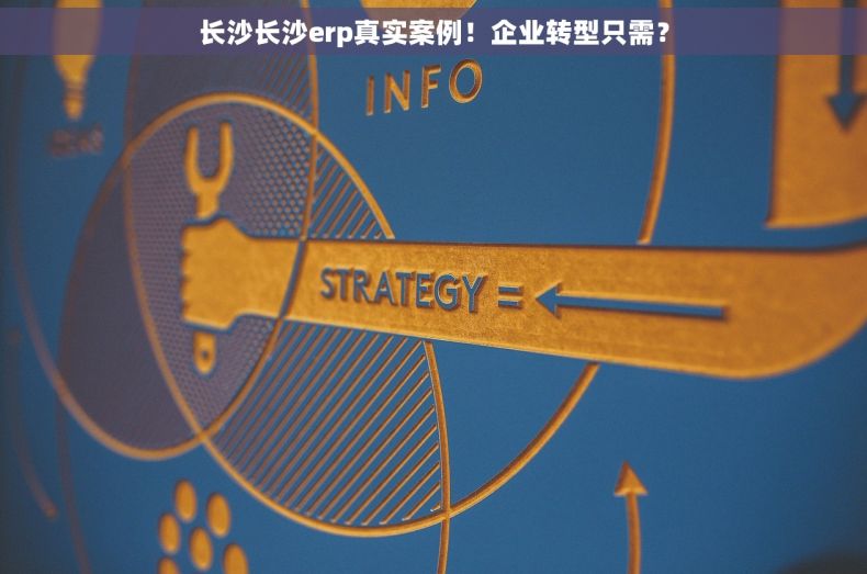 长沙长沙erp真实案例！企业转型只需？