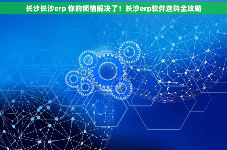 长沙长沙erp 你的烦恼解决了！长沙erp软件选购全攻略
