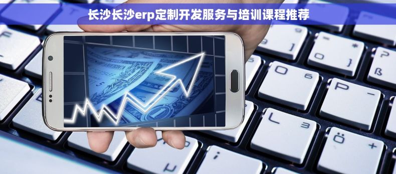 长沙长沙erp定制开发服务与培训课程推荐