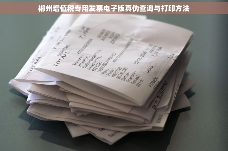 郴州增值税专用发票电子版真伪查询与打印方法