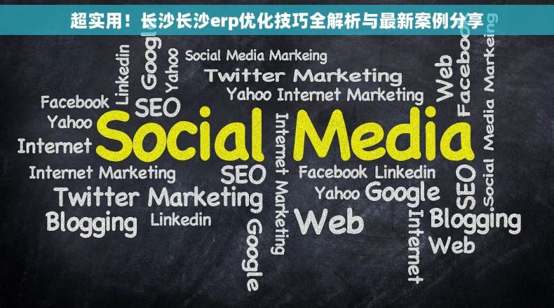 超实用！长沙长沙erp优化技巧全解析与最新案例分享
