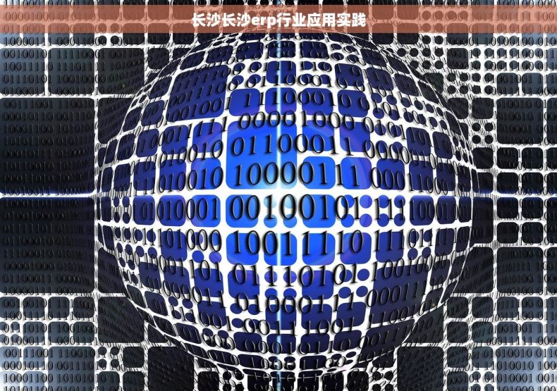 长沙长沙erp行业应用实践