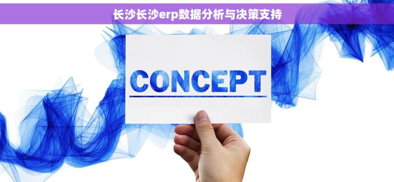 长沙长沙erp数据分析与决策支持