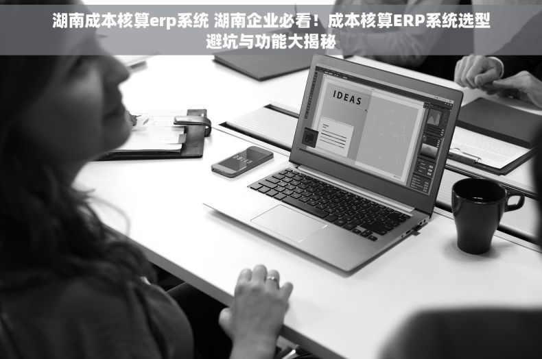 湖南成本核算erp系统 湖南企业必看！成本核算ERP系统选型避坑与功能大揭秘
