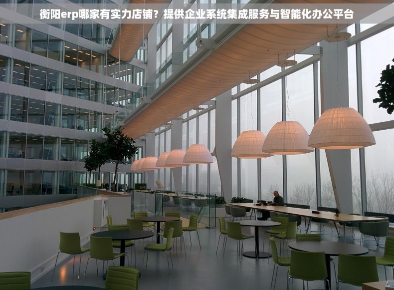 衡阳erp哪家有实力店铺？提供企业系统集成服务与智能化办公平台