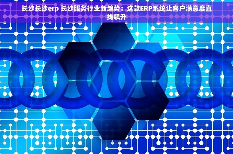 长沙长沙erp 长沙服务行业新趋势：这款ERP系统让客户满意度直线飙升