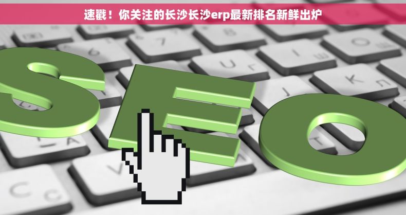 速戳！你关注的长沙长沙erp最新排名新鲜出炉