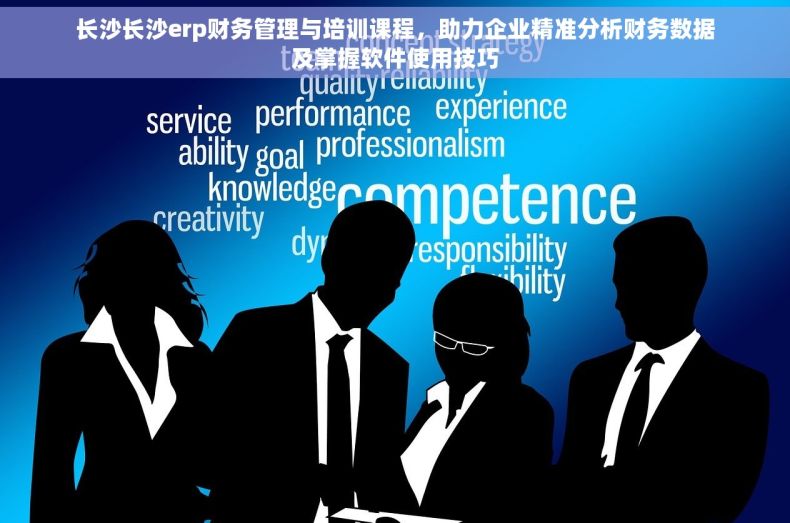 长沙长沙erp财务管理与培训课程，助力企业精准分析财务数据及掌握软件使用技巧