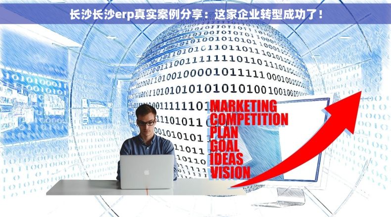 长沙长沙erp真实案例分享：这家企业转型成功了！
