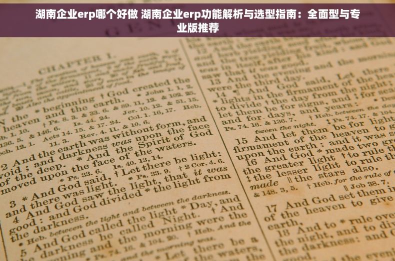湖南企业erp哪个好做 湖南企业erp功能解析与选型指南：全面型与专业版推荐