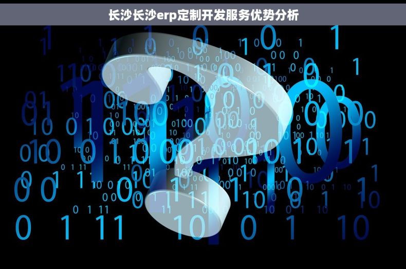 长沙长沙erp定制开发服务优势分析