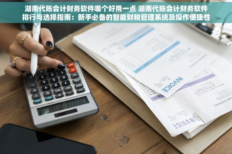 湖南代账会计财务软件哪个好用一点 湖南代账会计财务软件排行与选择指南：新手必备的智能财税管理系统及操作便捷性大揭秘