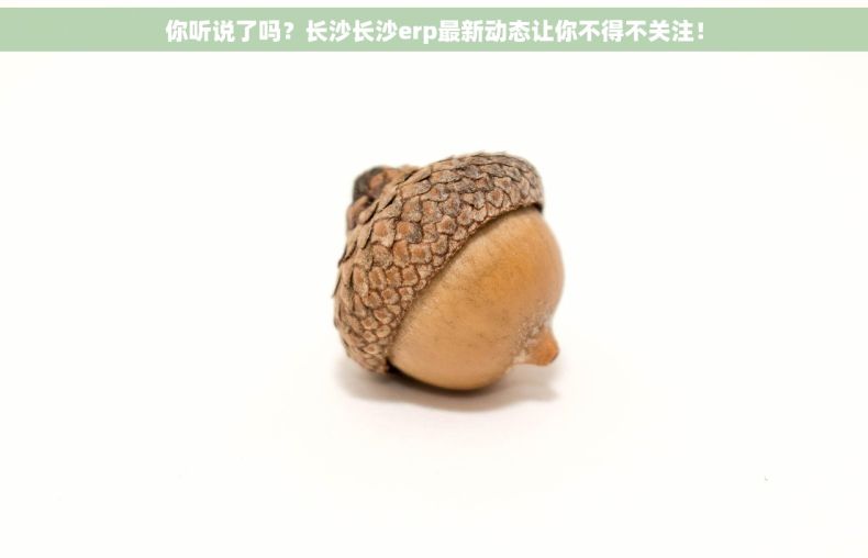 你听说了吗？长沙长沙erp最新动态让你不得不关注！