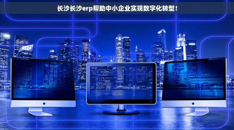 长沙长沙erp帮助中小企业实现数字化转型！